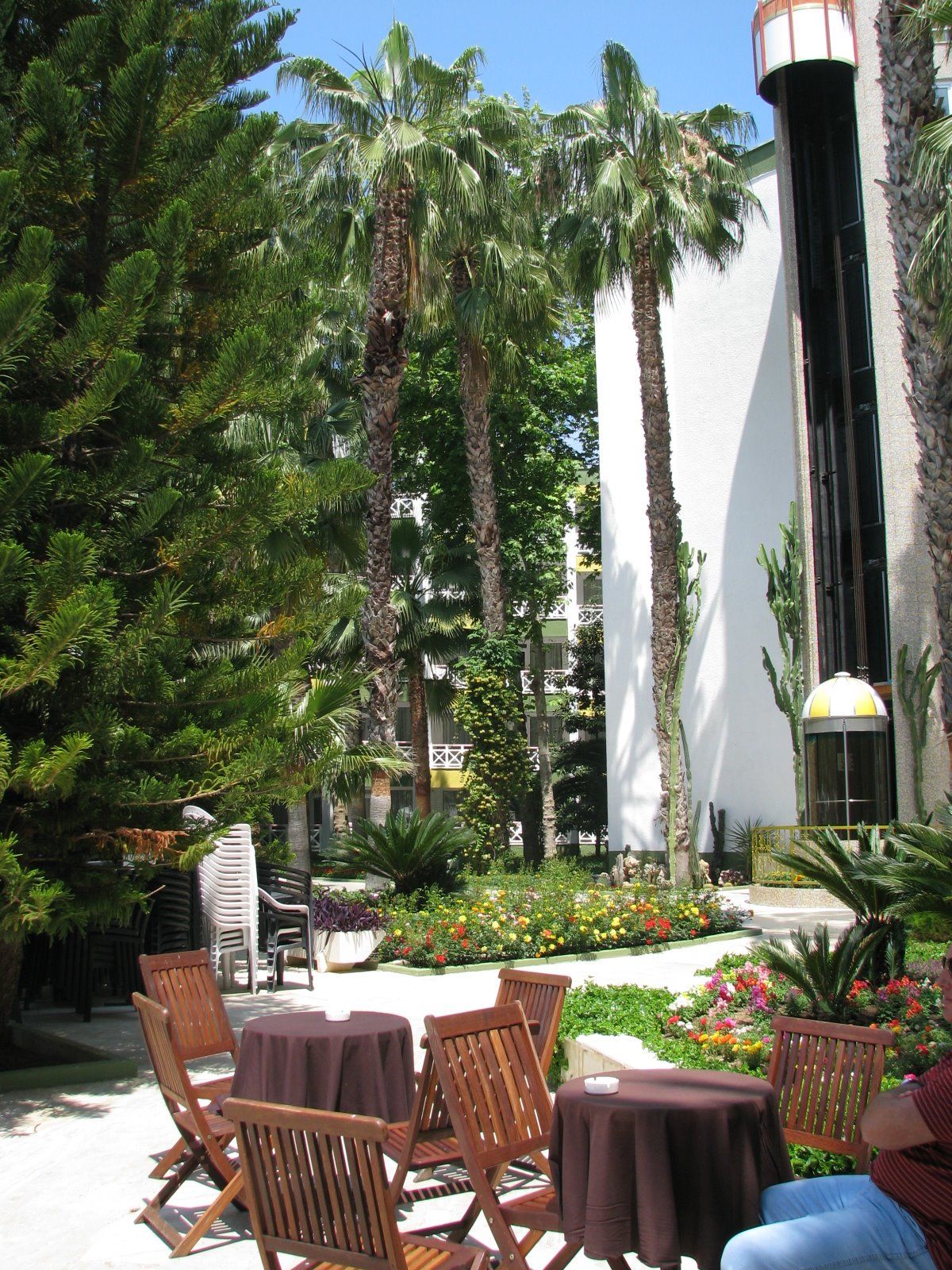 imagini hotel DELPHIN BOTANIK